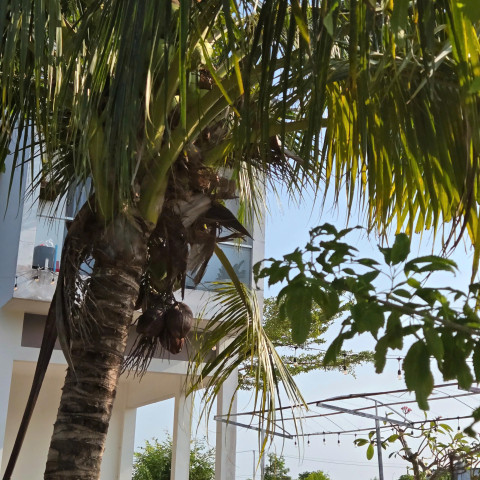 BÁN ĐẤT BÌNH CHÂU - LÔ GÓC 2 MẶT TIỀN 4000M2 đối diện khu Bangkok resort Bình Châu