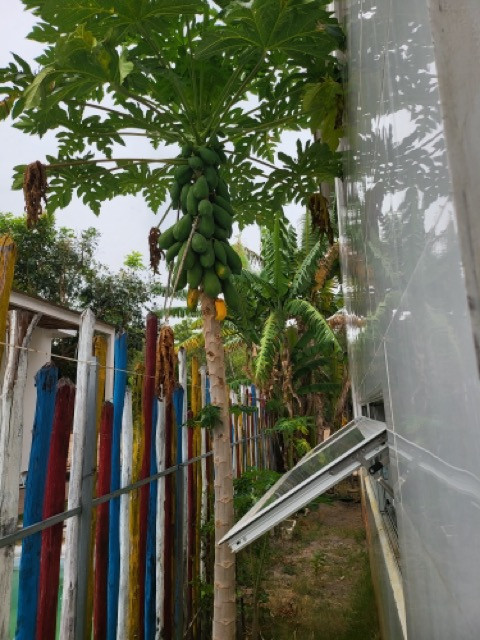 Bán nhà Xã Đất Đỏ - Biệt thự Sandy Home 500m2