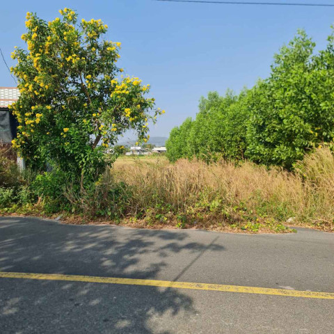 Bán đất vườn ven biển Phước Hải. Đất ven biển diện tích 647m2 10 x 65 giá bán 3,8 tỷ