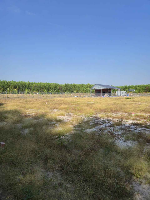 Bán đất vườn cạnh khu công nghiệp Đất Đỏ. Diện tích 1324m2 hai mặt tiền giá chỉ 1,45 tỷ