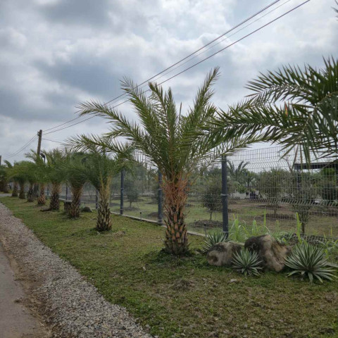 Bán đất đối diện khu Bòn Bon resort Long Tân. Dt 500m2 có 21m mặt tiền