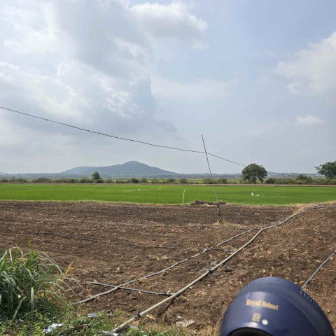 Bán đất thị trấn Đất Đỏ đường Lê Thánh Tông 123m2 giá chỉ 1,2 tỷ